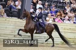 23R13_14144 thumbnail