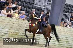 23R13_14145 thumbnail