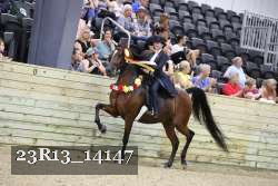 23R13_14147 thumbnail