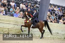 23R13_14148 thumbnail