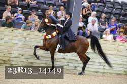 23R13_14149 thumbnail