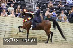 23R13_14150 thumbnail
