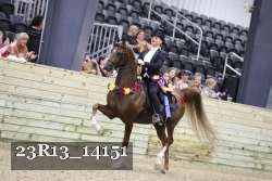 23R13_14151 thumbnail
