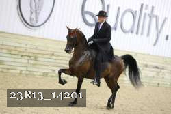 23R13_14201 thumbnail