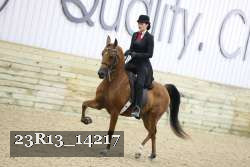 23R13_14217 thumbnail