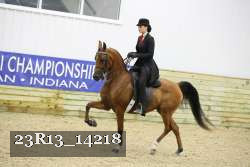 23R13_14218 thumbnail