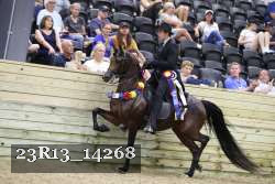 23R13_14268 thumbnail