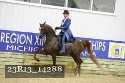 23R13_14288 thumbnail