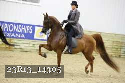 23R13_14305 thumbnail