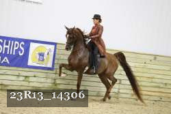 23R13_14306 thumbnail