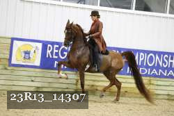 23R13_14307 thumbnail