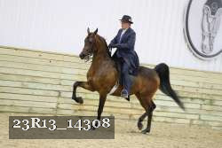 23R13_14308 thumbnail