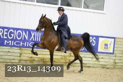 23R13_14309 thumbnail