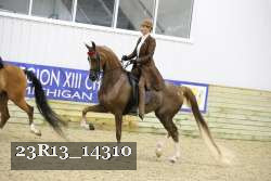 23R13_14310 thumbnail