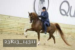 23R13_14311 thumbnail