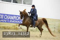 23R13_14312 thumbnail