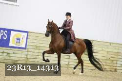 23R13_14313 thumbnail