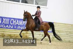 23R13_14314 thumbnail