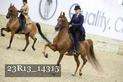 23R13_14315 thumbnail