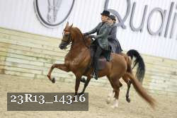 23R13_14316 thumbnail