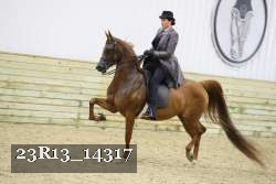 23R13_14317 thumbnail