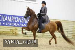 23R13_14318 thumbnail