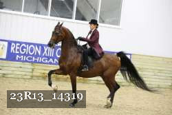 23R13_14319 thumbnail