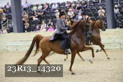 23R13_14320 thumbnail