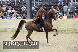 23R13_14321 thumbnail