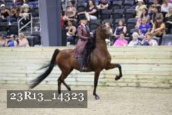 23R13_14323 thumbnail