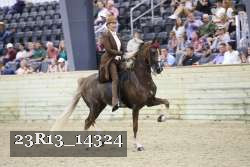 23R13_14324 thumbnail