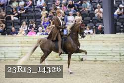 23R13_14326 thumbnail