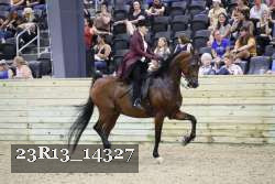 23R13_14327 thumbnail