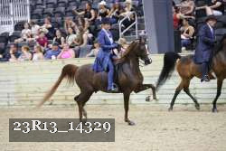 23R13_14329 thumbnail