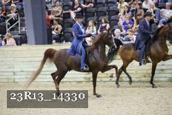 23R13_14330 thumbnail