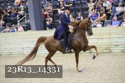 23R13_14331 thumbnail