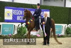 23R13_14335 thumbnail