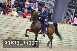23R13_14337 thumbnail