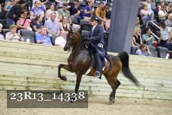 23R13_14338 thumbnail