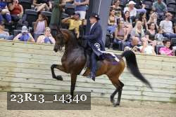 23R13_14340 thumbnail