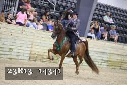 23R13_14341 thumbnail
