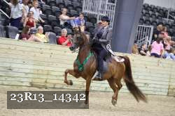 23R13_14342 thumbnail