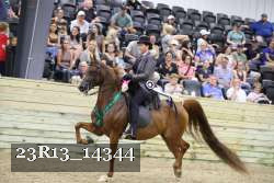 23R13_14344 thumbnail