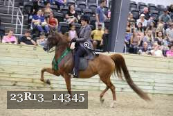 23R13_14345 thumbnail