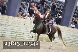 23R13_14346 thumbnail