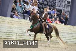 23R13_14347 thumbnail