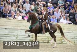 23R13_14348 thumbnail