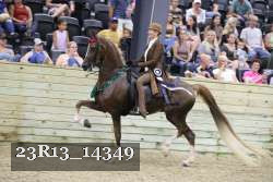 23R13_14349 thumbnail