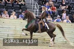 23R13_14350 thumbnail
