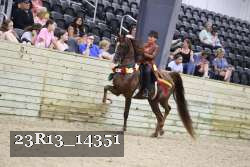 23R13_14351 thumbnail